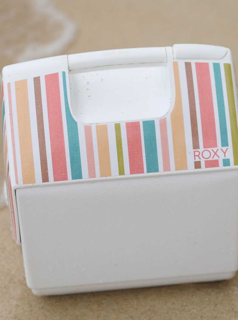 Accessoires Roxy IGLOO Playmate Pal Insulated Cooler Femme Blanche Stripes | 460172TUD