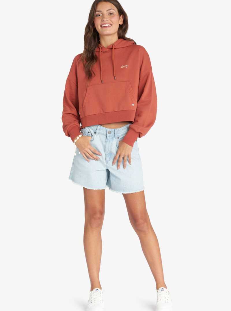 Chandails En Molleton Roxy Afternoon Hike Pullover Hoodie Femme | 590742EDY