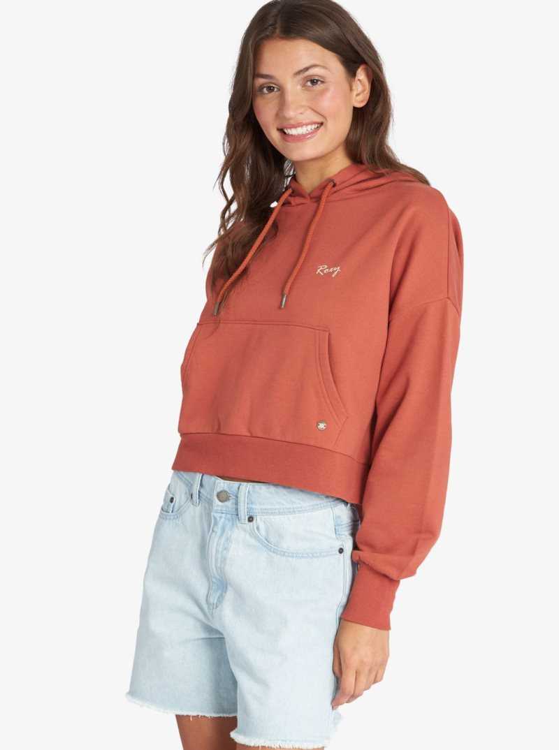 Chandails En Molleton Roxy Afternoon Hike Pullover Hoodie Femme | 590742EDY