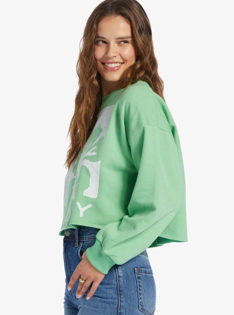 Chandails En Molleton Roxy Morning Hike Crop A Crew Neck Femme Vert | 649012PRH
