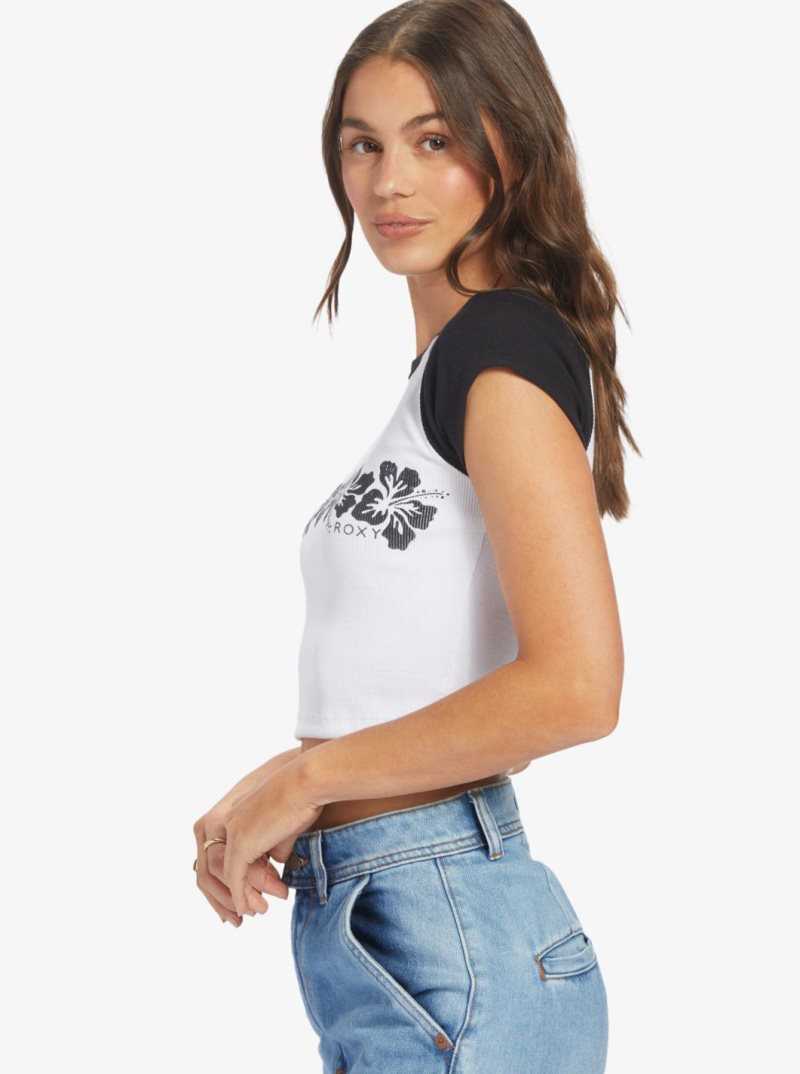 Debardeur Roxy Lei Stripe Cropped Raglan Sleeve Baby T-shirt Femme Grise Foncé | 286530MRZ