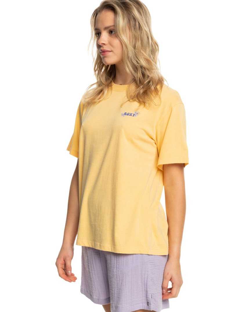 Debardeur Roxy Moonlight Sunset Oversized Boyfriend T-Shirt Femme | 169843DLC