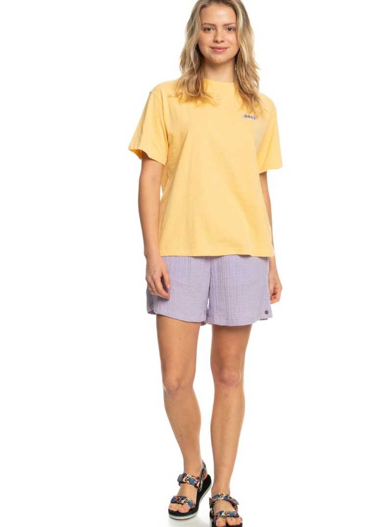Debardeur Roxy Moonlight Sunset Oversized Boyfriend T-Shirt Femme | 169843DLC
