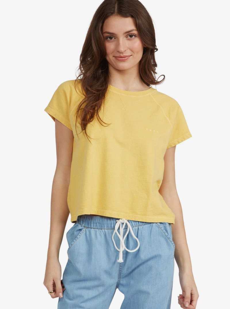 Debardeur Roxy Sun Lines Oversized T-Shirt Femme | 154209UHX
