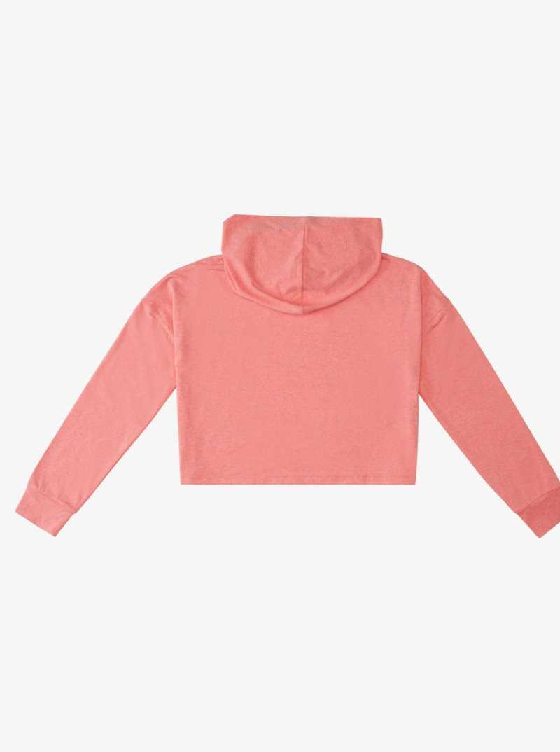 Hauts Roxy Sun Might Shine Long Sleeve Encapuchonné T-Shirt Femme Rose | 915640KFE