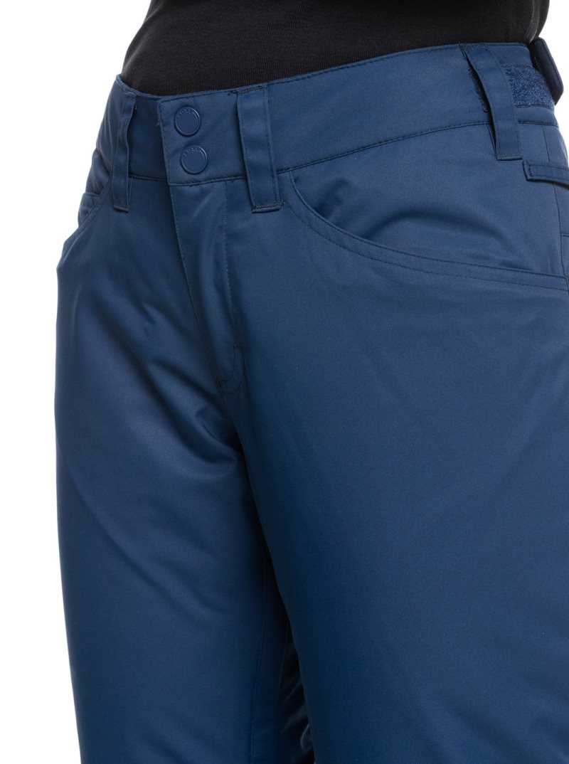 Pantalons Snowboard Roxy Backyard Snow Pant Femme Bleu | 401735WAJ