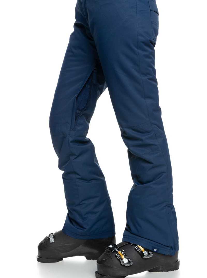 Pantalons Snowboard Roxy Backyard Snow Pant Femme Bleu | 401735WAJ