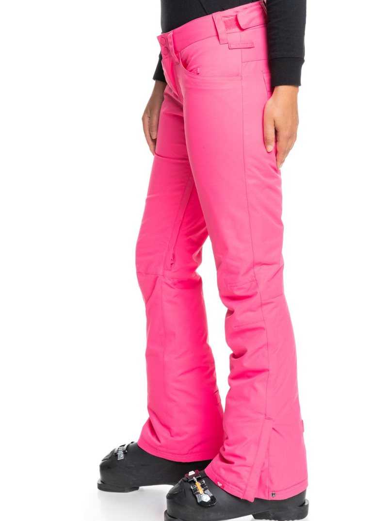 Pantalons Snowboard Roxy Backyard Snow Pant Femme Rose | 456029FMQ