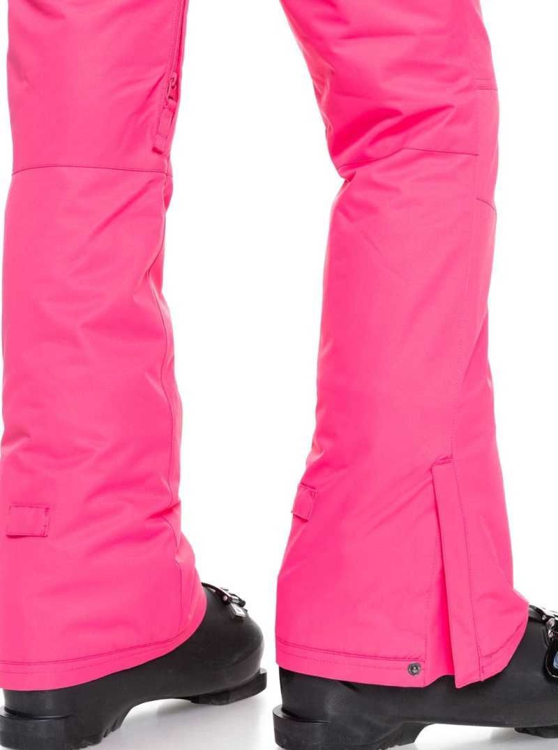 Pantalons Snowboard Roxy Backyard Snow Pant Femme Rose | 456029FMQ