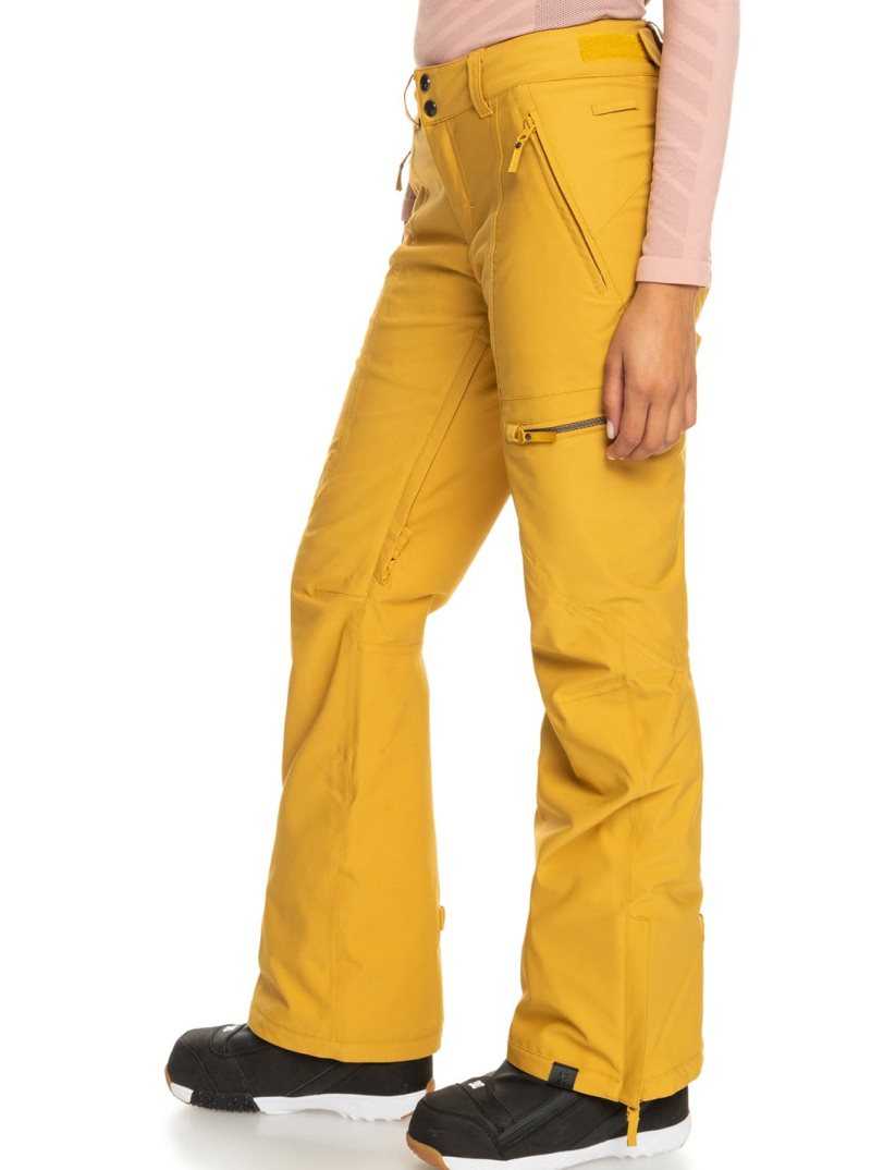 Pantalons Snowboard Roxy Cabin Slim Fit Femme Orange | 640518RIZ