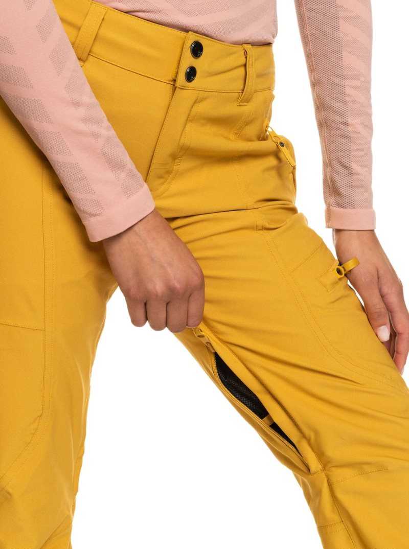 Pantalons Snowboard Roxy Cabin Slim Fit Femme Orange | 640518RIZ