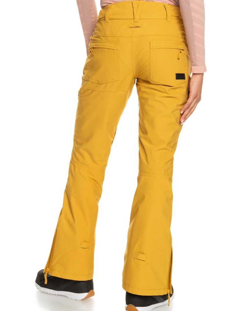 Pantalons Snowboard Roxy Cabin Slim Fit Femme Orange | 640518RIZ