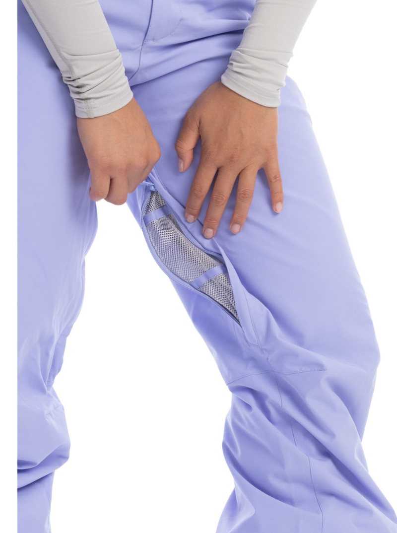 Pantalons Snowboard Roxy Chloe Kim Insulated Femme | 106384PMK