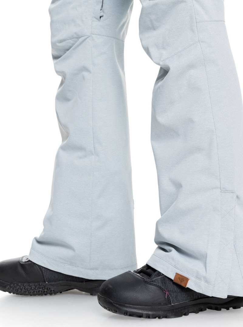 Pantalons Snowboard Roxy Nadia Insulated Femme Grise | 496287DZJ
