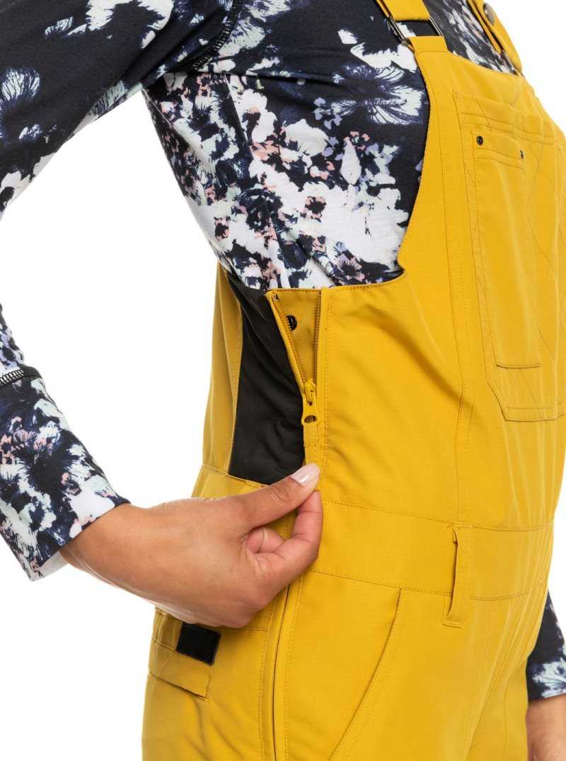 Pantalons Snowboard Roxy Rideout Insulated Femme Orange | 304257SAG