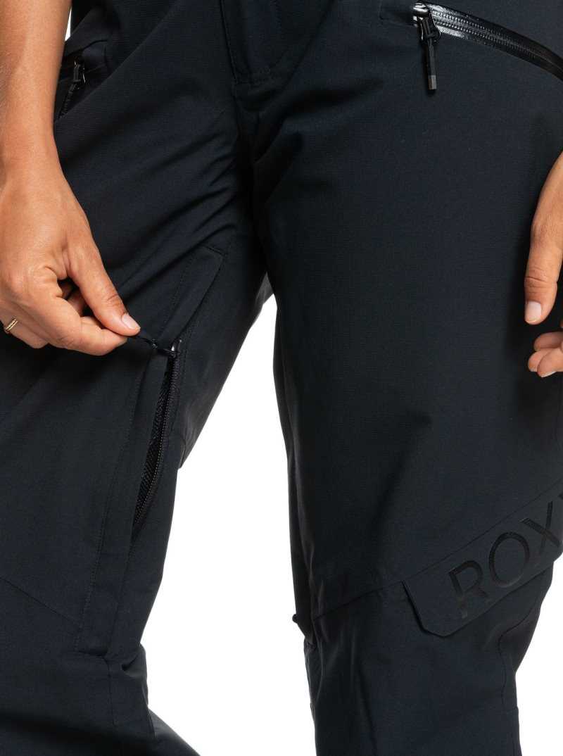 Pantalons Snowboard Roxy Wood Rose Insulated Femme Noir | 539618SIV