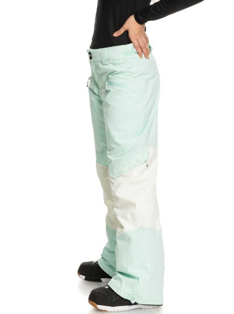 Pantalons Snowboard Roxy Wood Rose Insulated Femme Turquoise Clair | 596071YOS