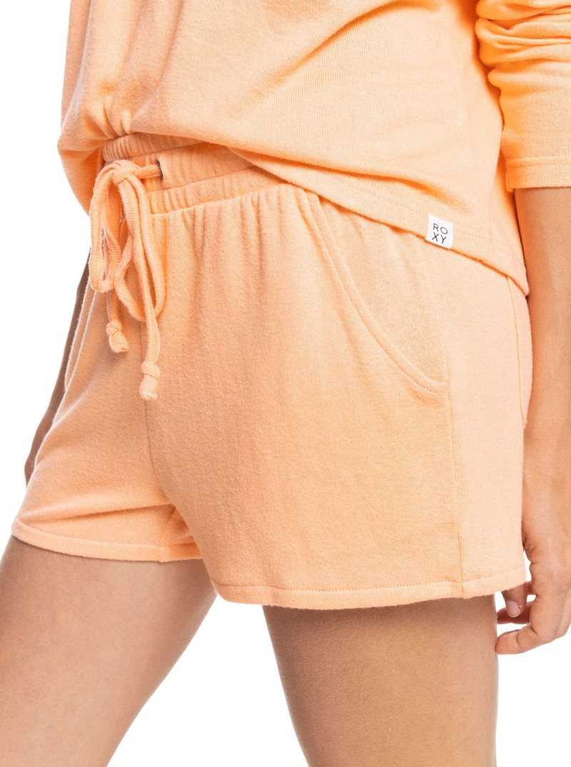 Shorts Roxy bidden Summer Sweatshorts Femme | 479036YBL