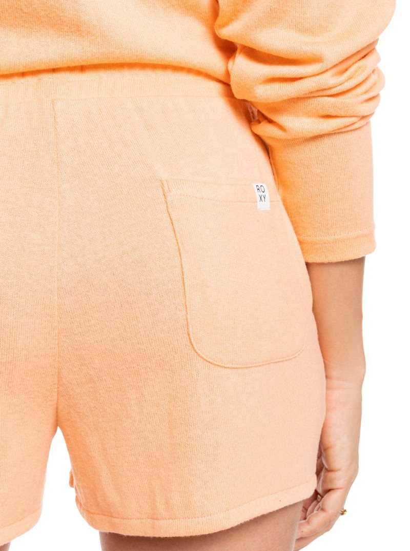 Shorts Roxy bidden Summer Sweatshorts Femme | 479036YBL