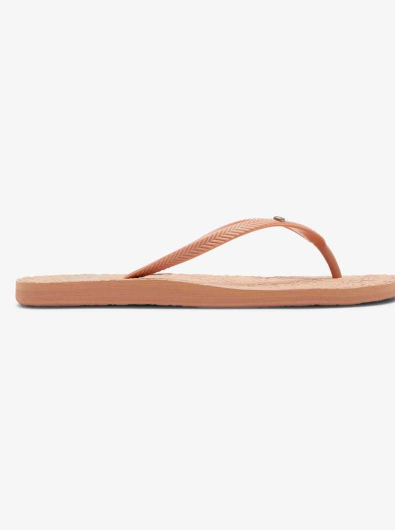 Tong Roxy Antilles Sandals Femme Beige | 591064HEC