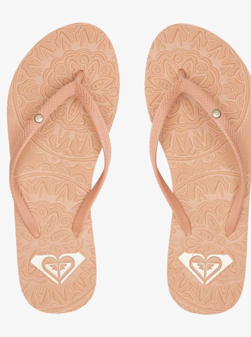 Tong Roxy Antilles Sandals Femme Beige | 591064HEC