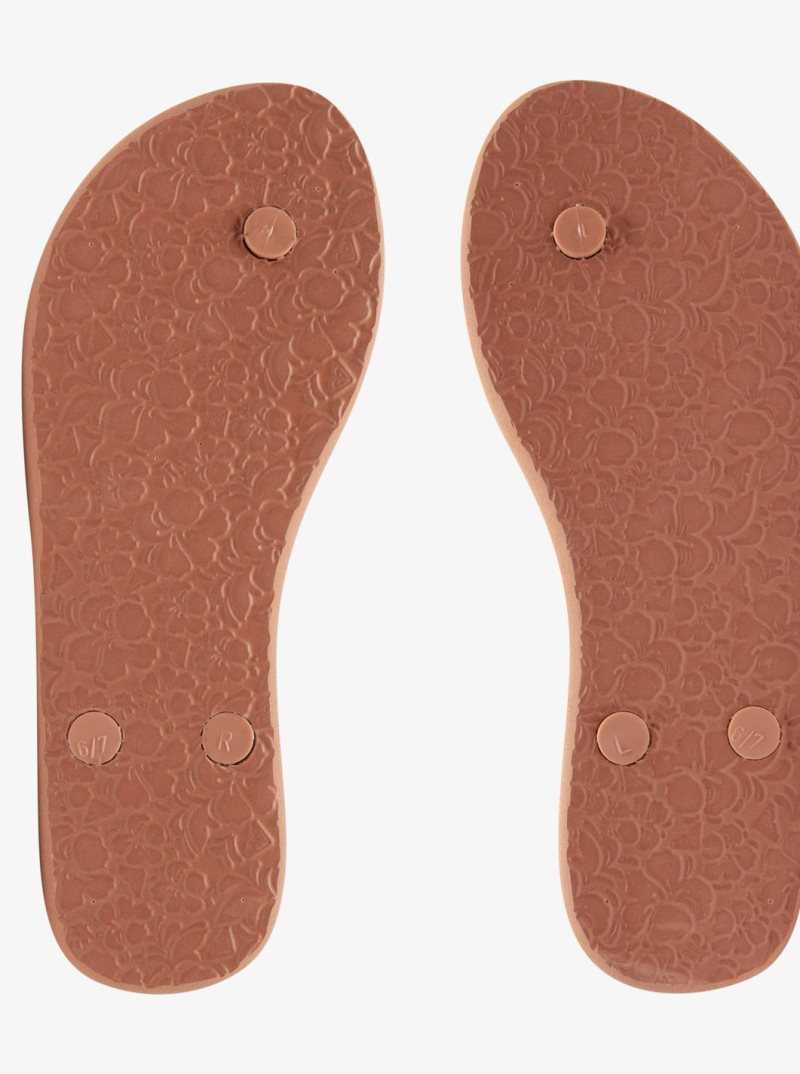 Tong Roxy Antilles Sandals Femme Beige | 591064HEC