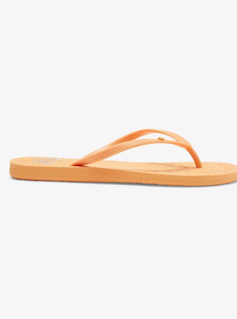 Tong Roxy Antilles Sandals Femme Orange | 804326TMB