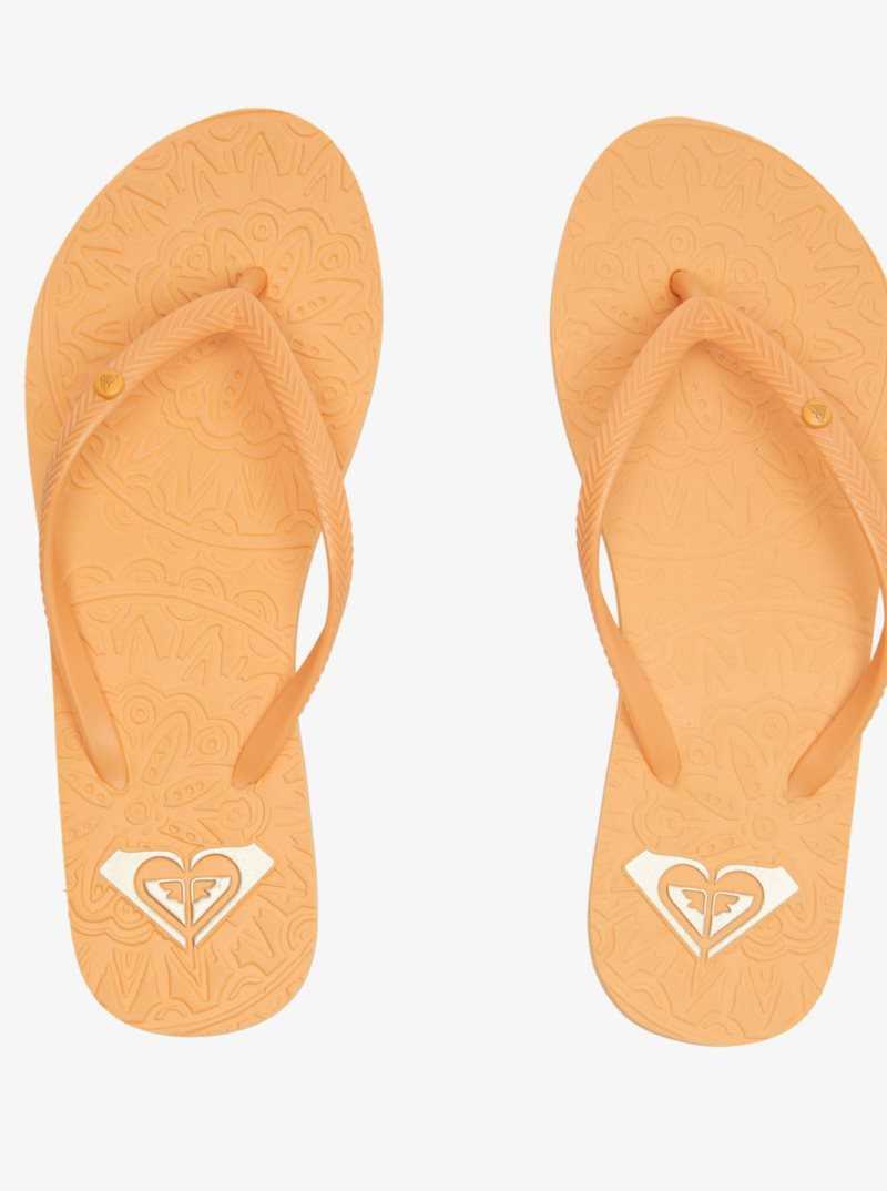 Tong Roxy Antilles Sandals Femme Orange | 804326TMB