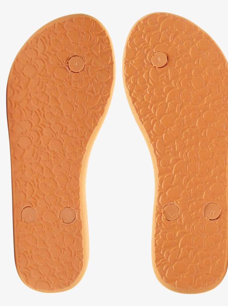 Tong Roxy Antilles Sandals Femme Orange | 804326TMB