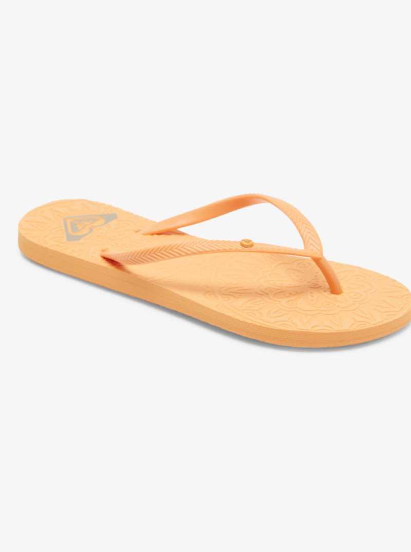 Tong Roxy Antilles Sandals Femme Orange | 804326TMB