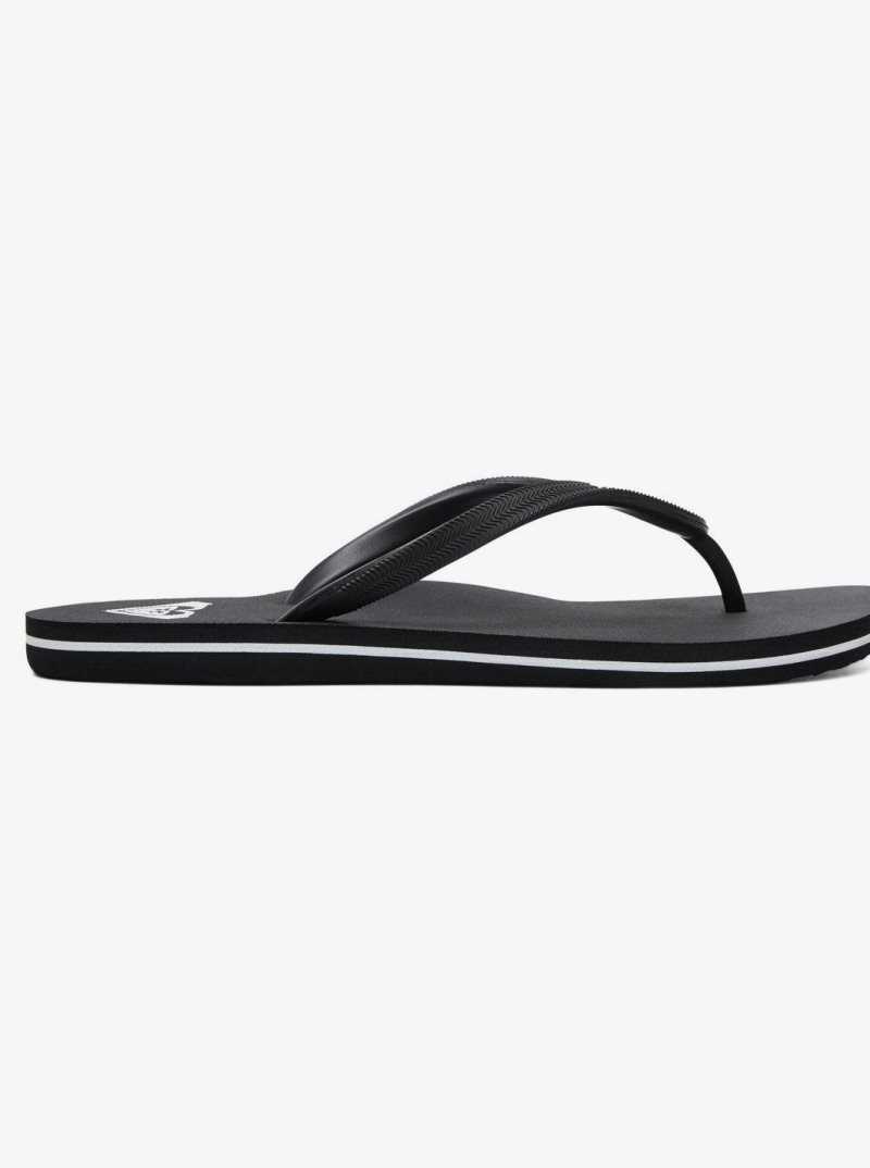 Tong Roxy Azul Basic Sandal Femme Noir | 869750SVE