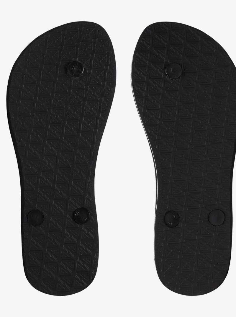 Tong Roxy Azul Basic Sandal Femme Noir | 869750SVE