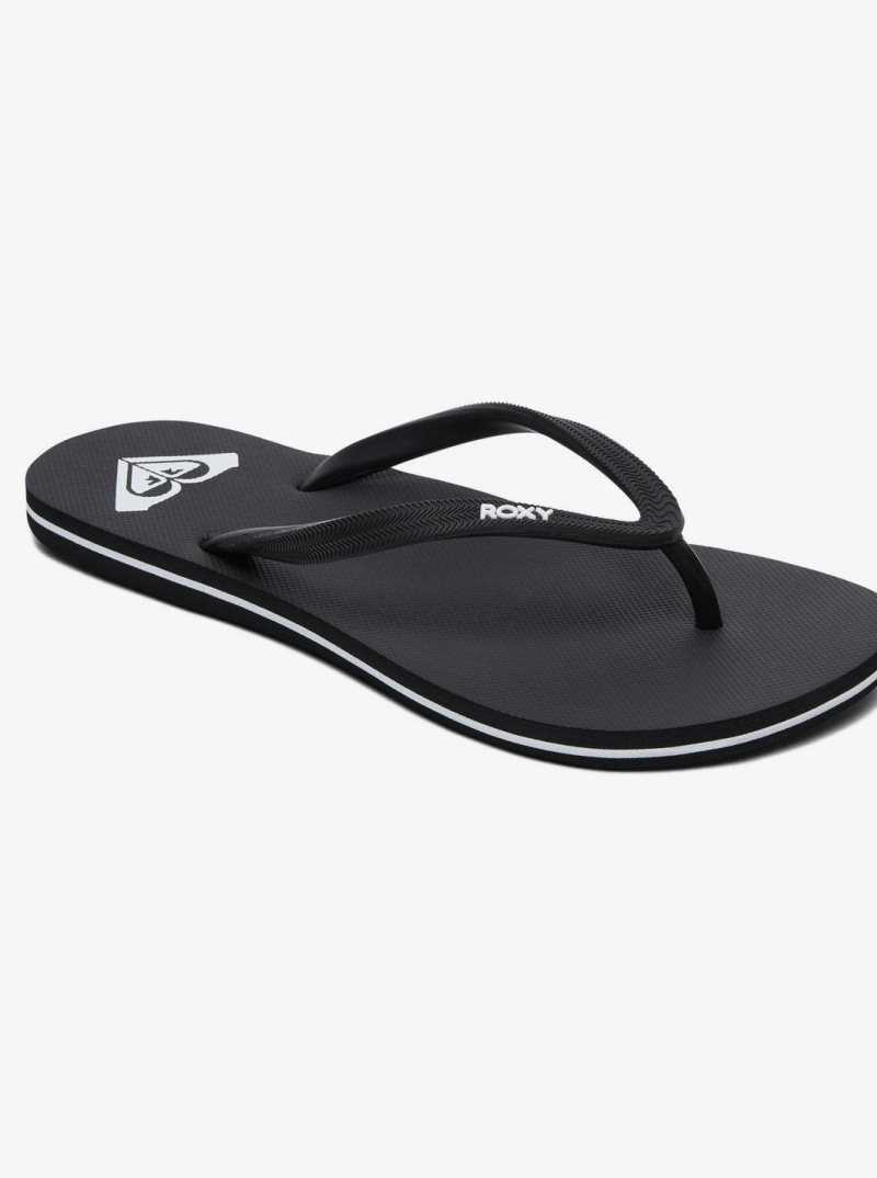 Tong Roxy Azul Basic Sandal Femme Noir | 869750SVE