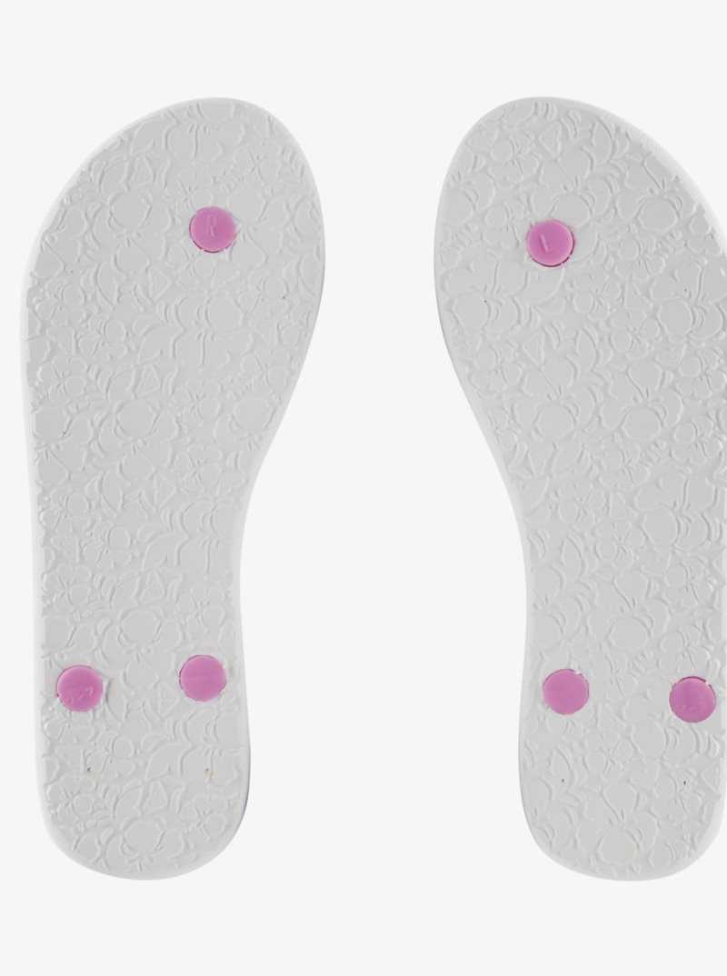 Tong Roxy Bermuda Sandals Femme Multicolore | 704168ARN