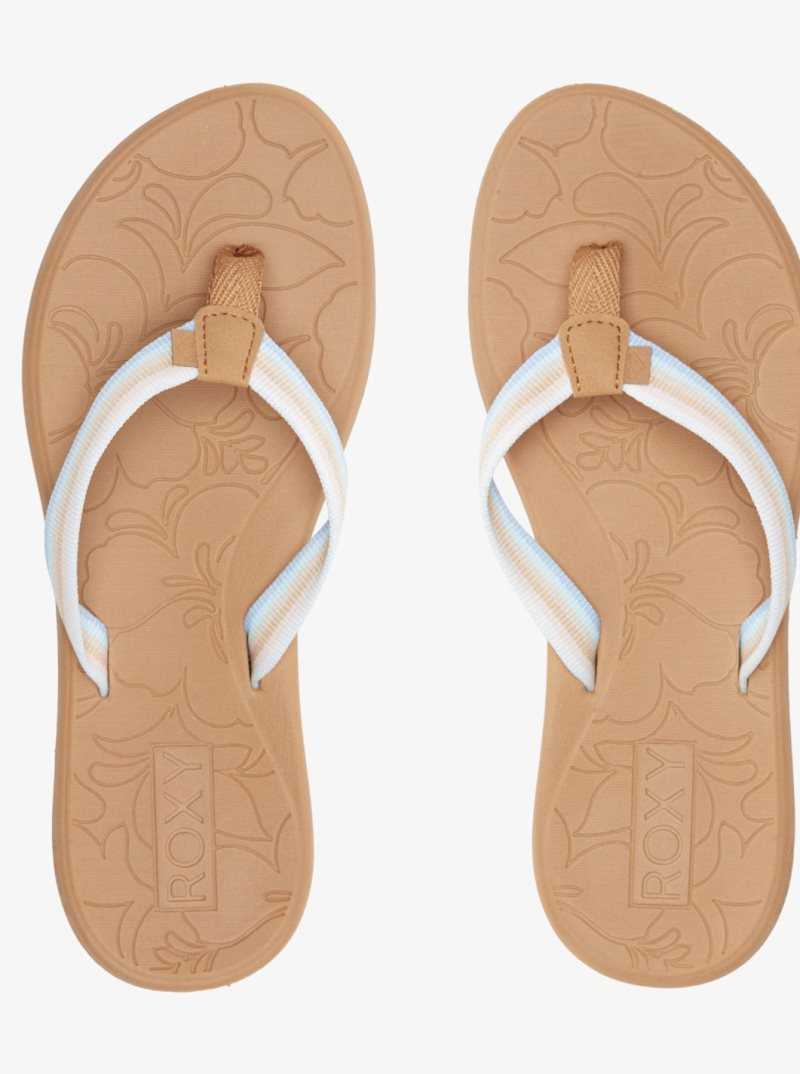 Tong Roxy Colbee Sandals Femme Marron Bleu | 658172XZT