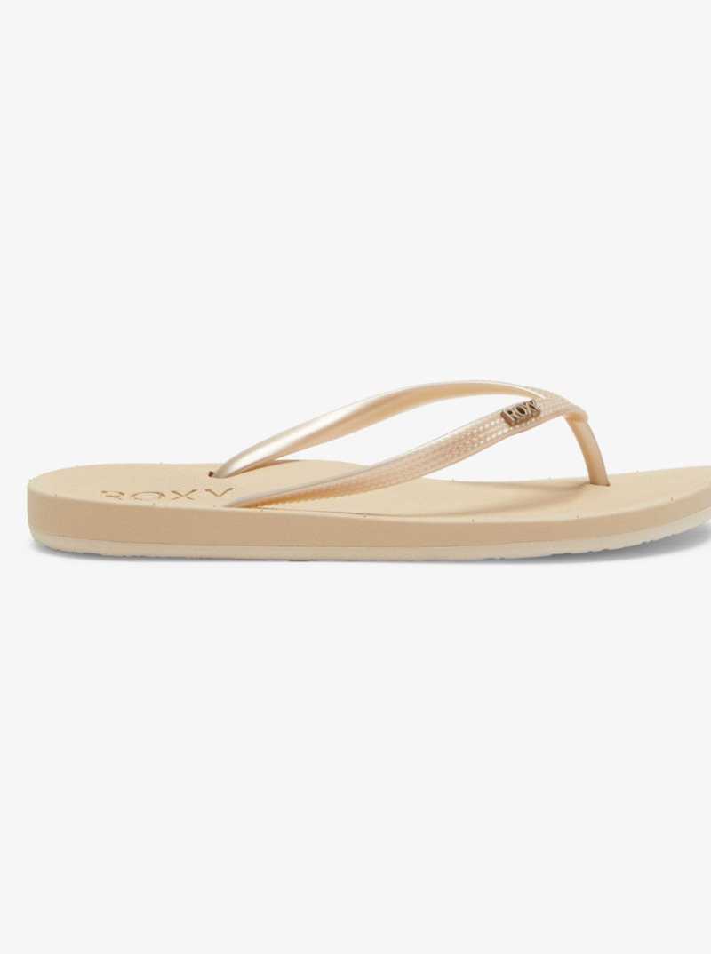 Tong Roxy Jettie Sandals Femme | 937821TJQ