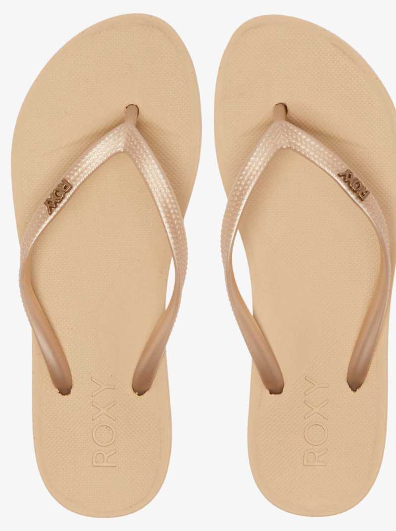 Tong Roxy Jettie Sandals Femme | 937821TJQ