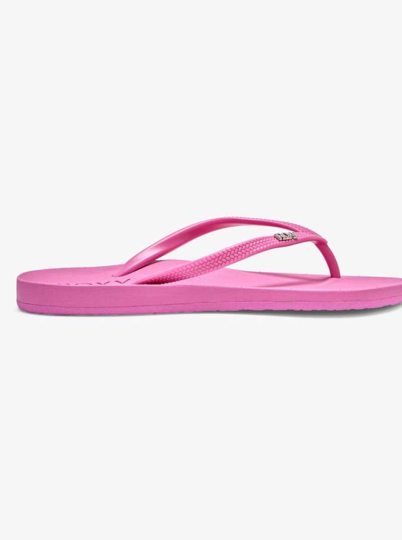 Tong Roxy Jettie Sandals Femme Fushia | 284567FEK