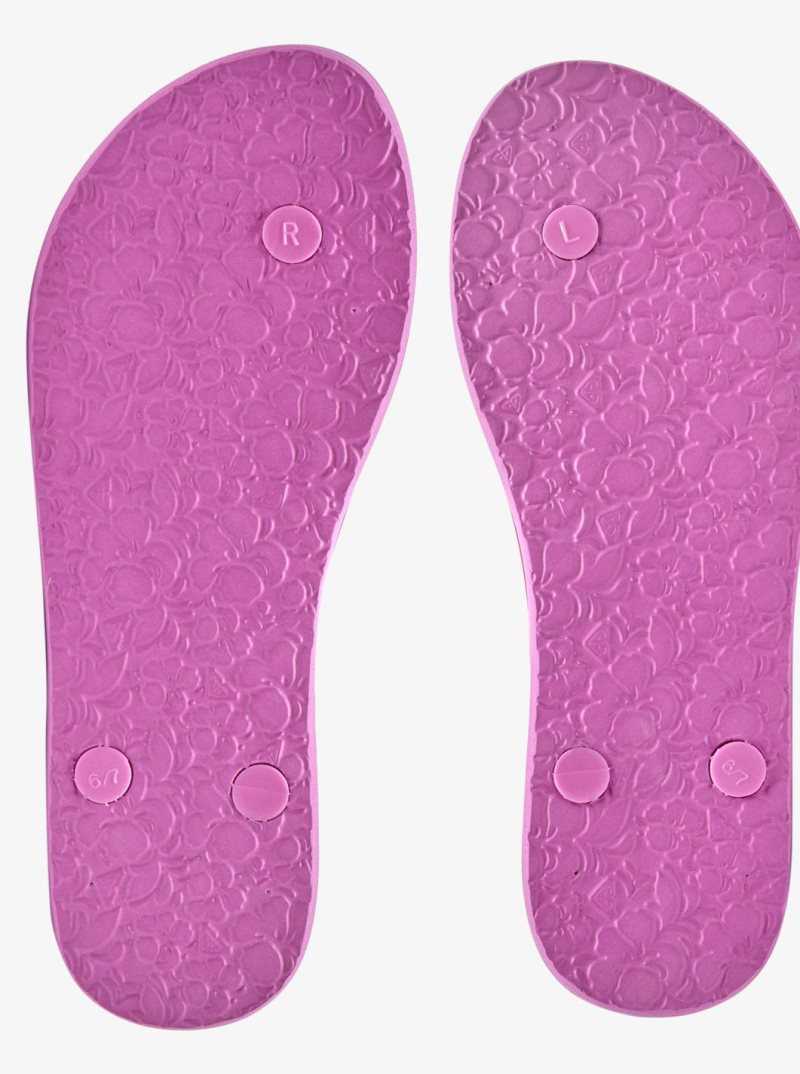 Tong Roxy Jettie Sandals Femme Fushia | 284567FEK