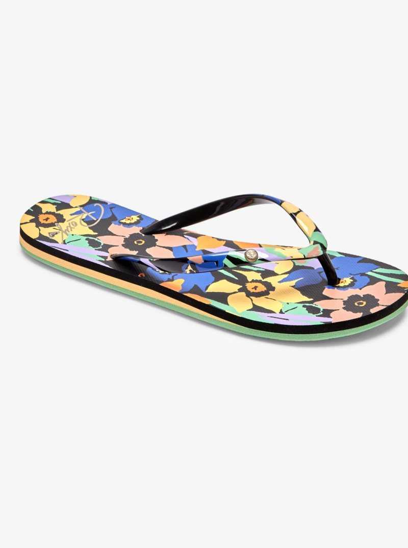 Tong Roxy Portofino Femme Noir Multicolore | 934176JEF