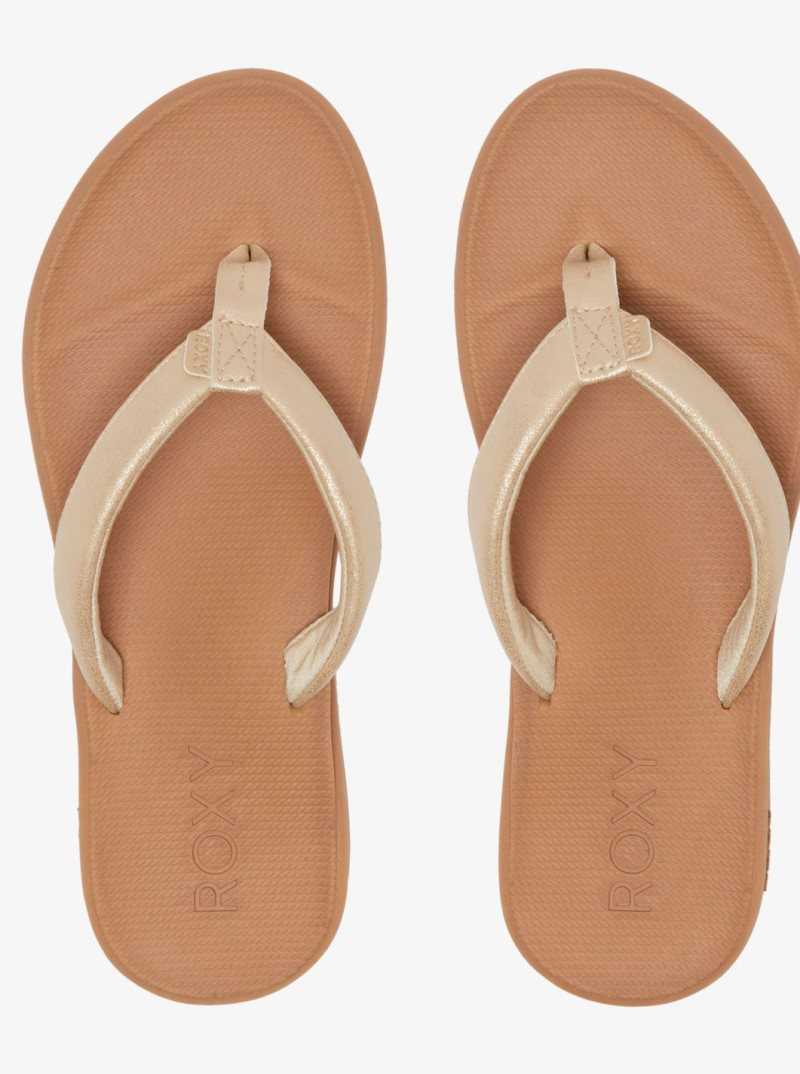 Tong Roxy Solana Sandals Femme Doré | 396584TKI