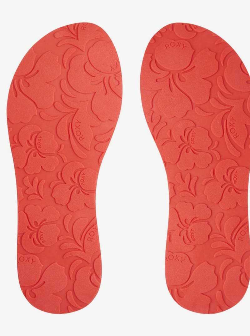 Tong Roxy Vista Femme Multicolore | 937502ADR