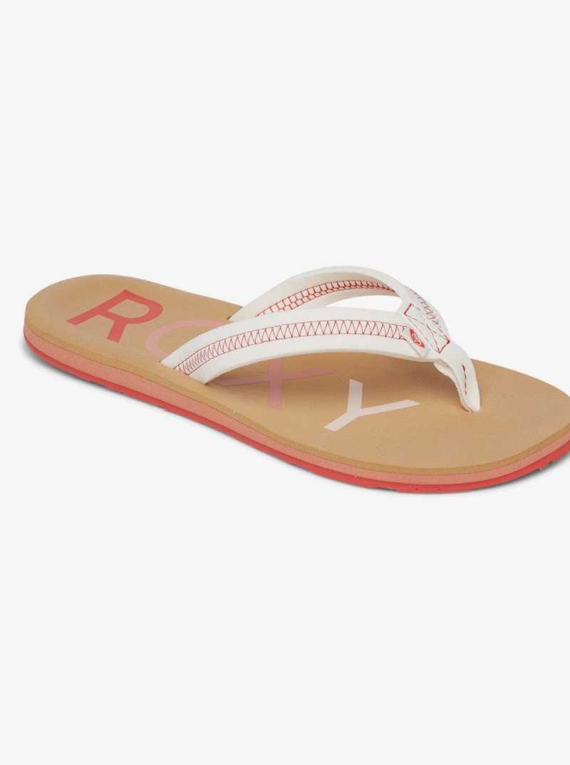 Tong Roxy Vista Femme Multicolore | 937502ADR