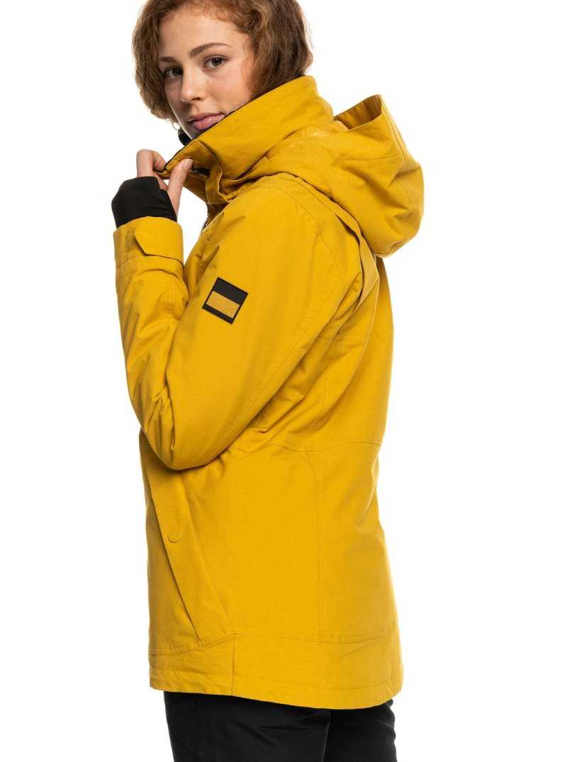 Vestes Snowboard Roxy Presence Insulated Femme Orange | 875041GMW