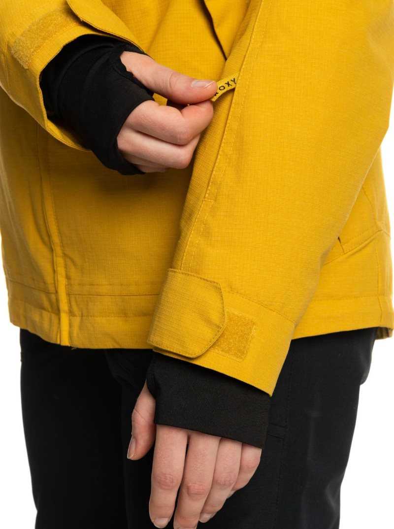 Vestes Snowboard Roxy Presence Insulated Femme Orange | 875041GMW
