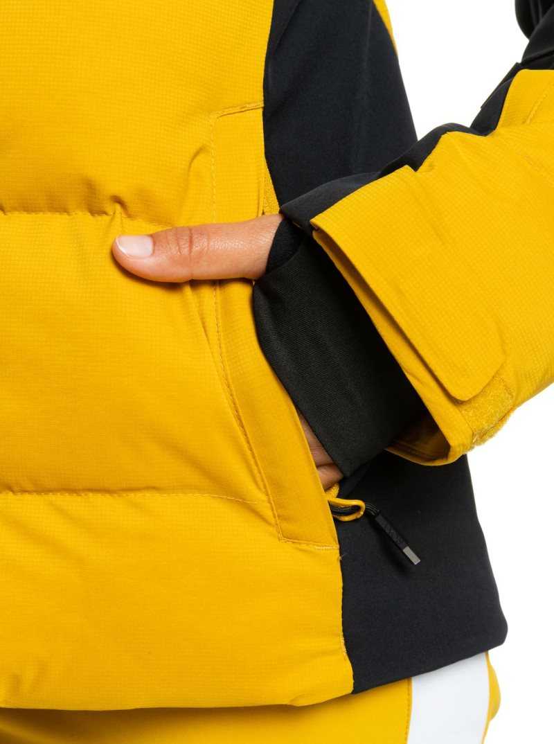 Vestes Snowboard Roxy Snow Blizzard Insulated Femme Orange | 160489ZPE